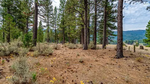 503 Redtail Loop, Clio, CA 96106 photo 31