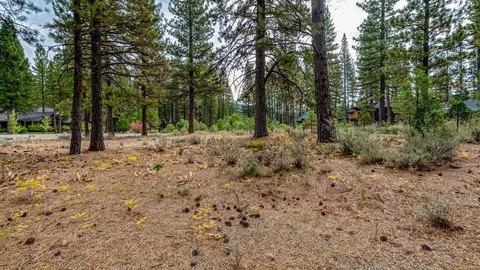 503 Redtail Loop, Clio, CA 96106 photo 33