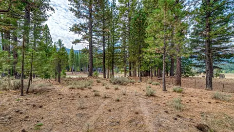 503 Redtail Loop, Clio, CA 96106 photo 36