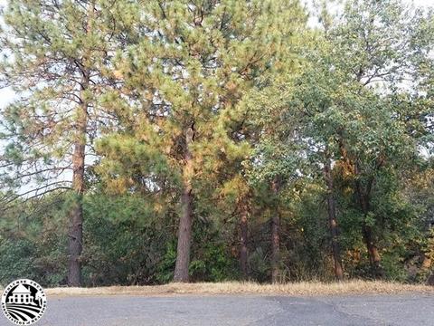 21473 Green Oaks Ct, Sonora, CA 95370