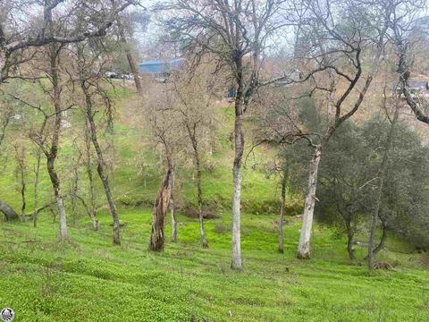 4514 Lakeshore Ct, Copperopolis, CA 95228