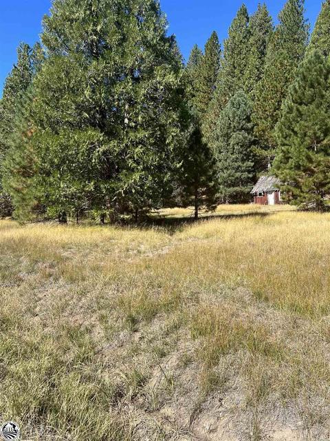 28130 Old Strawberry Dr, Long Barn, CA 95375