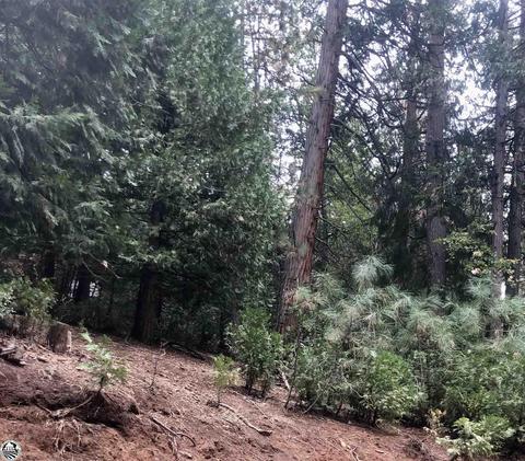 24303 N Oxbow Ln, Sonora, CA 95370