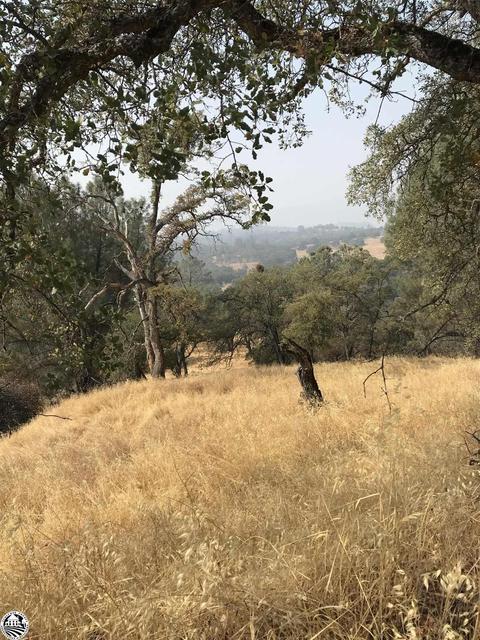 0 Jackass Hill Rd, Columbia, CA 95310