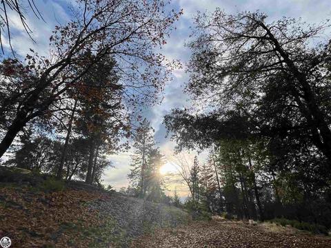 10820 Merrell Rd, Groveland, CA 95321