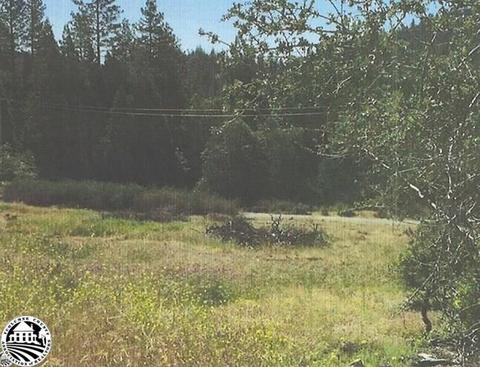 22521 Confidence Rd, Twain Harte, CA 95383