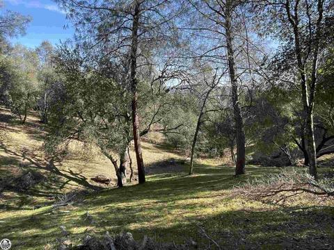 Unit 12 Lot 222 Hillcroft Drive, Groveland, CA 95321