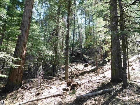 0000 Confidence - Southfork, Twain Harte, CA 95383