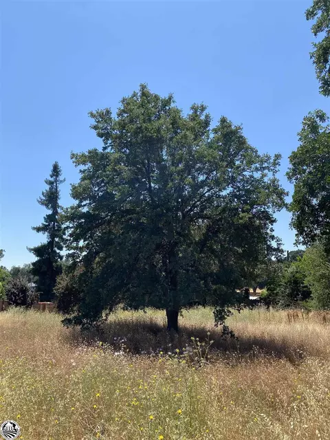 Parcel 2 Rolling Hills, Jamestown, CA 95327