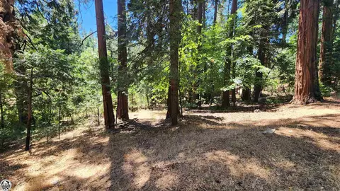 19131 Middle Camp Sugar Pine Rd, Twain Harte, CA 95383