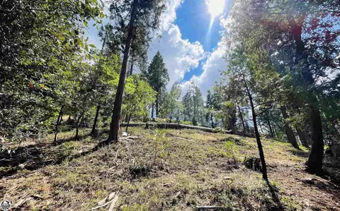 22717 Tamarack Dr, Twain Harte, CA 95383