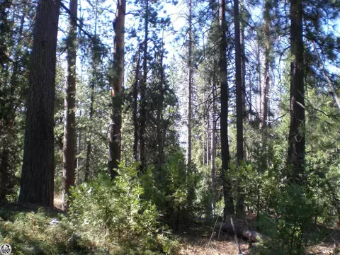 Lot 23 Nf 4n74, Twain Harte, CA 95383