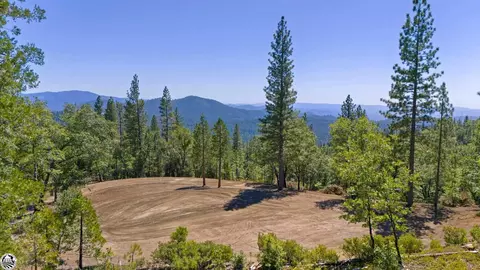 24229 Mount Elizabeth Rd, Twain Harte, CA 95383
