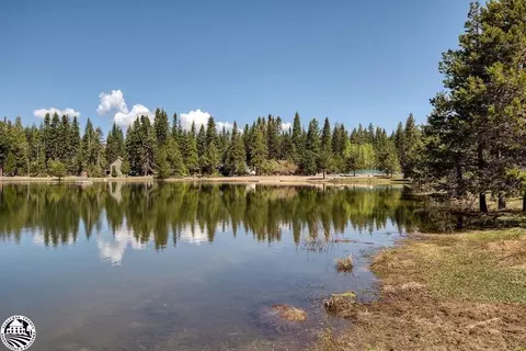 33998 Leland Meadow Rd, Strawberry, CA 95375