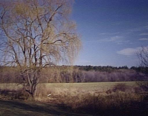 295 Still River Rd, Harvard, MA 01451 photo 3