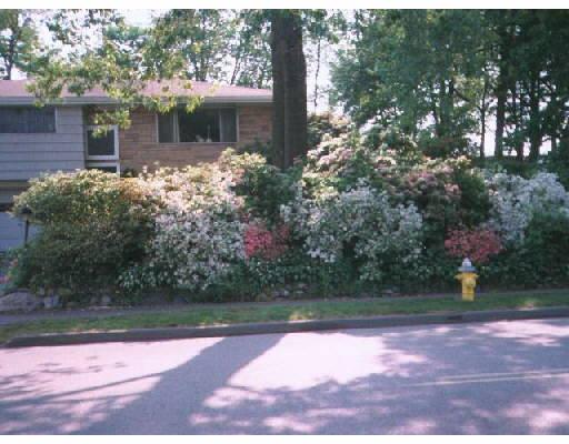 583 Webster St, Needham, MA 02494 photo 4