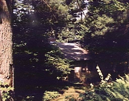 7 Hemlock Dr, Canton, MA 02021 photo 1