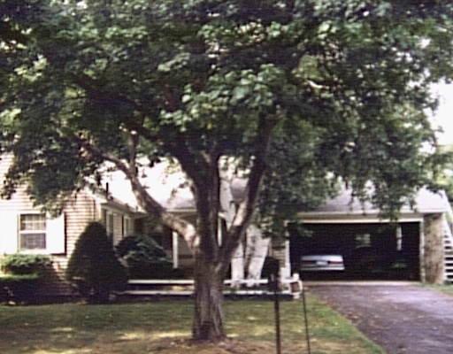11 E Maple St, Easthampton, MA 01027 photo 1