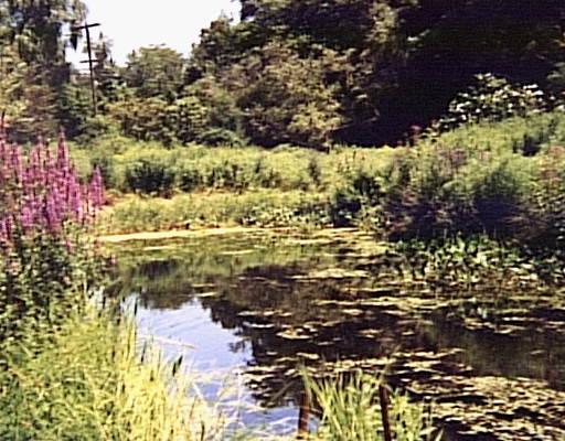 87 Free St, Hingham, MA 02043 photo 3