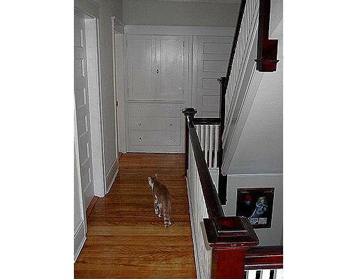 58 Hadwen, Worcester, MA 01602 photo 4