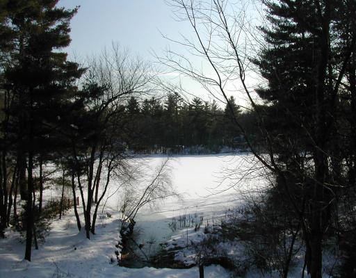 146 Chestnut, Upton, MA 01568 photo 7