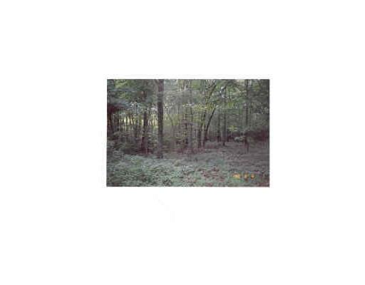 135 Burbank St, Sutton, MA 01590 photo 4
