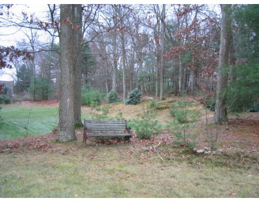 13 Walnut Hl, Millis, MA 02054 photo 6