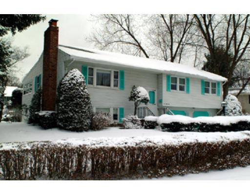 15 Volk Rd, Dedham, MA 02026 photo 1