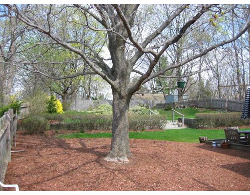 24 Concord St, Needham, MA 02494 photo 3