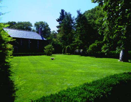 324 Warren St, Brookline, MA 02446 photo 8