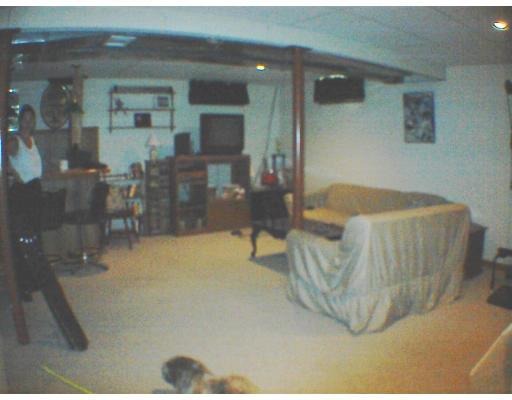 53 Caitlin Dr, Springfield, MA 01118 photo 9