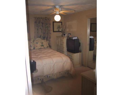 29 Louis Rd, Springfield, MA 01118 photo 7