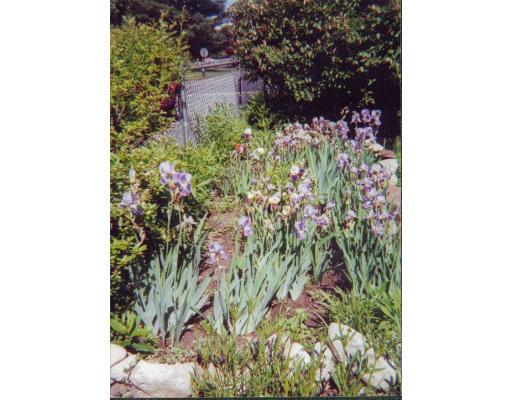 658 Parker St, Springfield, MA 01129 photo 3
