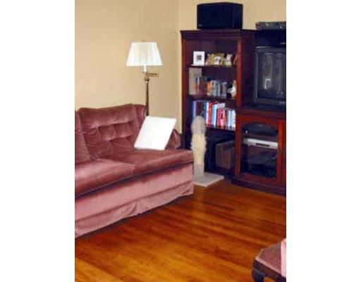 23 Piehl Ave, Worcester, MA 01606 photo 6