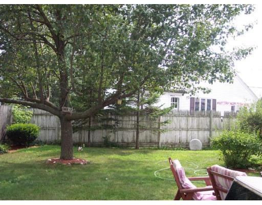 72 Riverview St, Dedham, MA 02026 photo 2