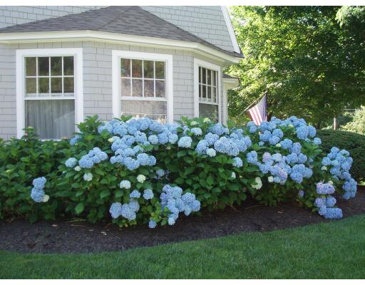 49 Lincoln St, Hingham, MA 02043 photo 5