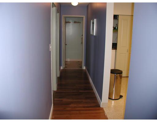 235 State St #423, Springfield, MA 01103 photo 5