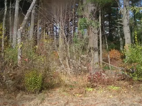 43 Canedy St, Wareham, MA 02576 photo 1