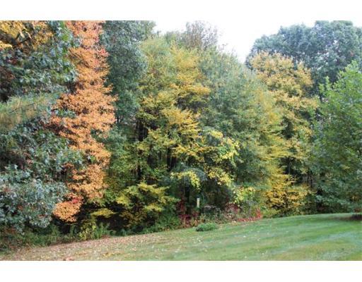 11 Forest Park Dr, Mendon, MA 01756 photo 27