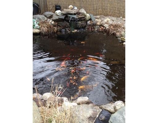 23 Denver, Springfield, MA 01109 photo 7