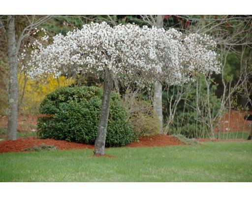 47 Hitching Post Dr, Walpole, MA 02081 photo 21