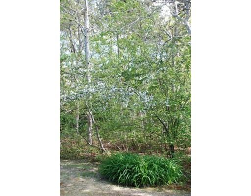 159 Flint Rock Rd, Barnstable, MA 02630 photo 19