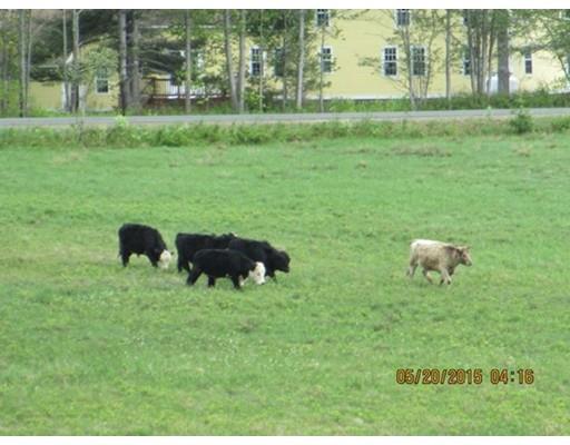 16 Ledge Rd, Heath, MA 01346 photo 8