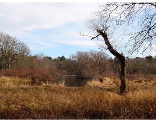 257 Common St, Dedham, MA 02026 photo 27