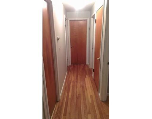 50 Greaney St, Springfield, MA 01104 photo 15