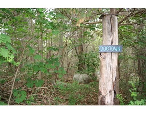 6 Milne Way, Gloucester, MA 01930 photo 30
