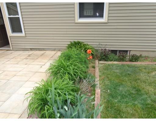 197 Mallowhill, Springfield, MA 01129 photo 16