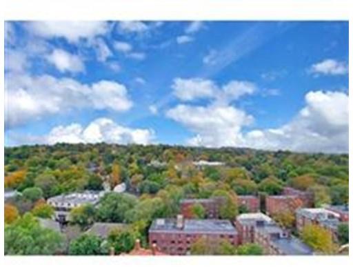 1731 Beacon #511, Brookline, MA 02445 photo 3