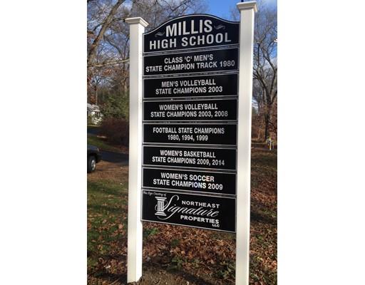 19 Cottage Ave, Millis, MA 02054 photo 26
