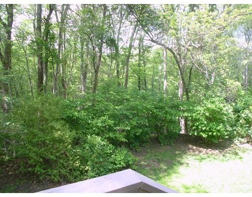 11 Foothill Rd, Framingham, MA 01702 photo 17